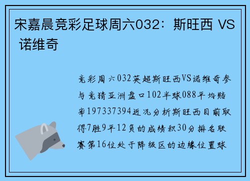 宋嘉晨竞彩足球周六032：斯旺西 VS 诺维奇